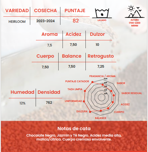 Café de Especialidad Etiopia