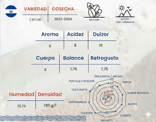 Café de Especialidad El Salvador