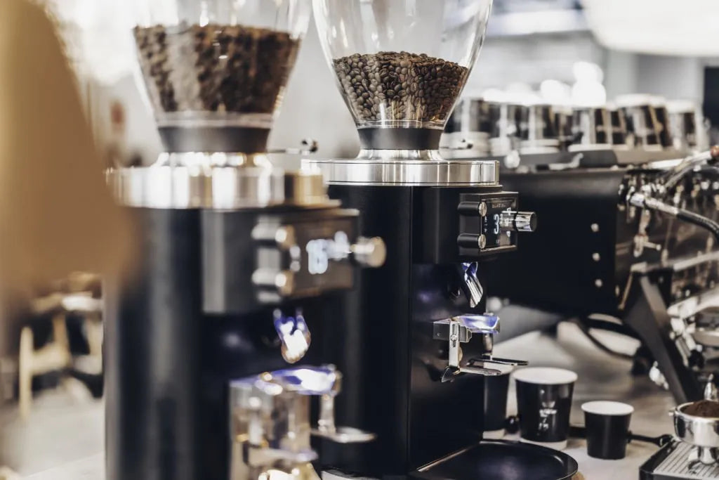 ¿Qué molino de café elegir?