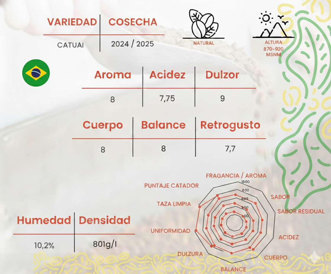 Café de Especialidad Brasil