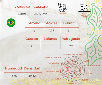 Café de Especialidad Brasil