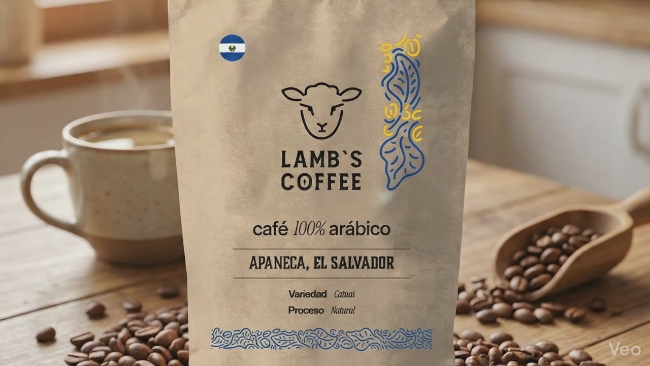 Cargar video: 